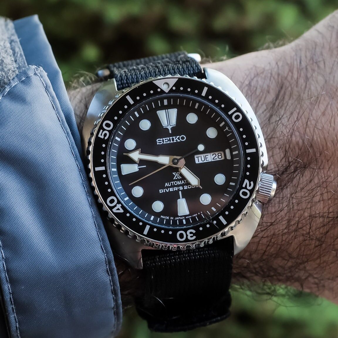 Turtles Appearance Estimated Project Budget * Select budget range… No budget USD 15,000 ...